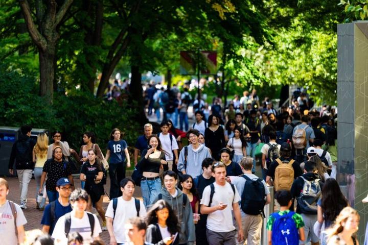 Let the Universities Die